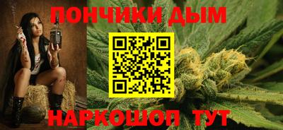 индика Баксан
